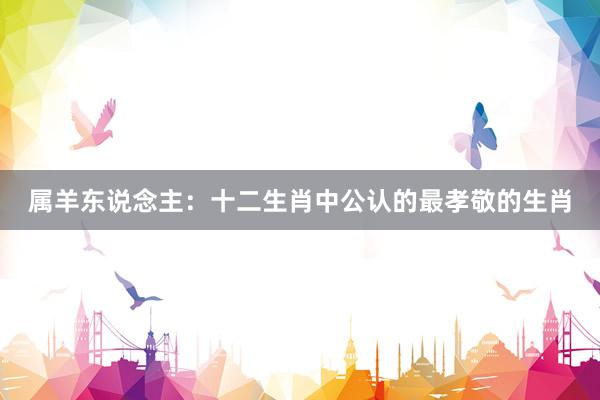 属羊东说念主：十二生肖中公认的最孝敬的生肖